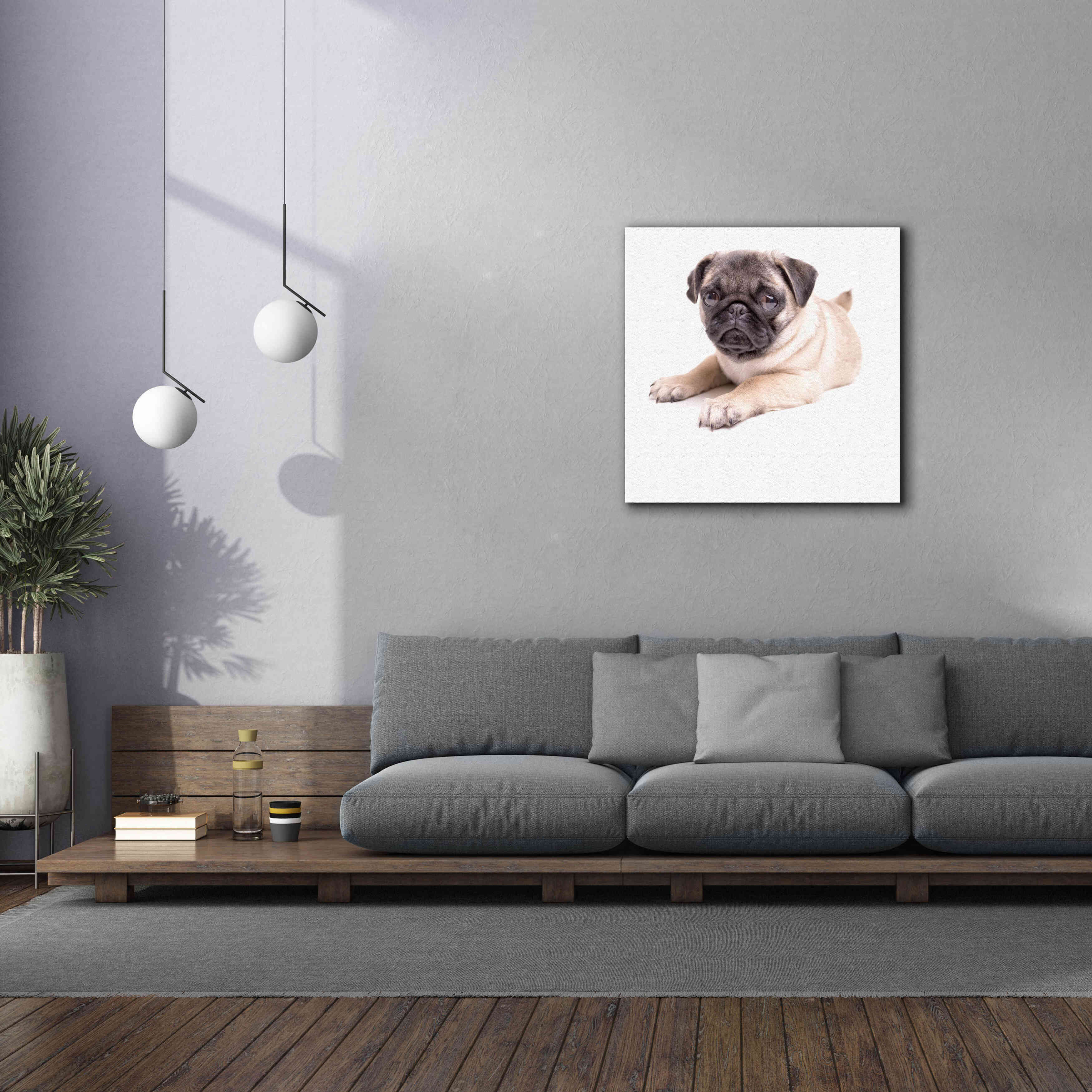 'Cute Pug Puppy' by Edward M. Fielding, Giclee Canvas Wall Art,37x37