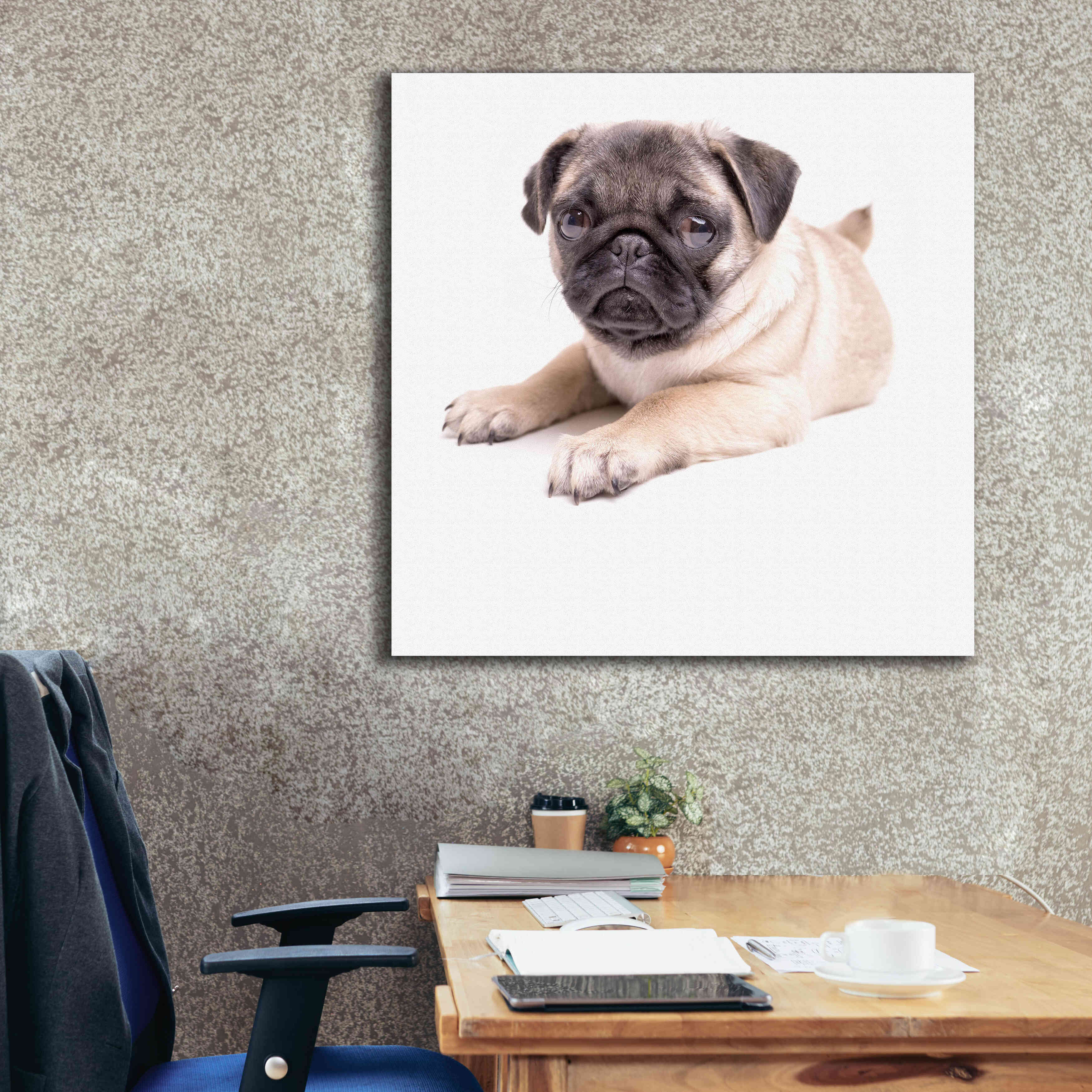 'Cute Pug Puppy' by Edward M. Fielding, Giclee Canvas Wall Art,37x37