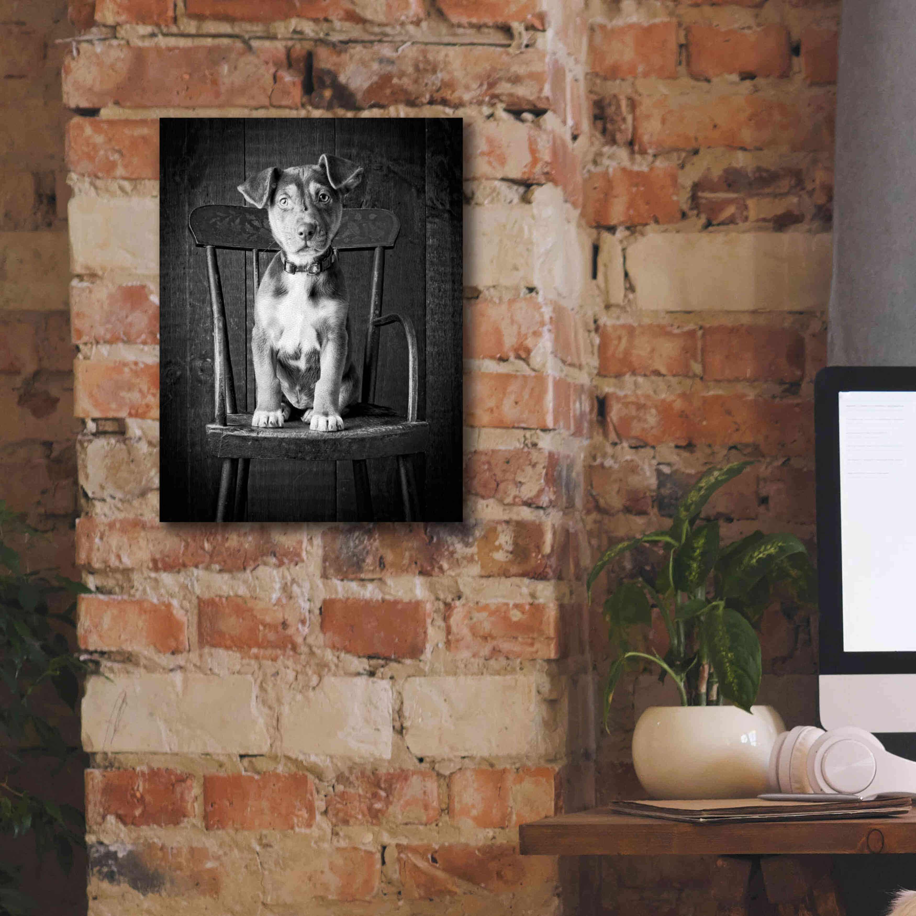 'Mutt Black & White' by Edward M. Fielding, Giclee Canvas Wall Art,12x16