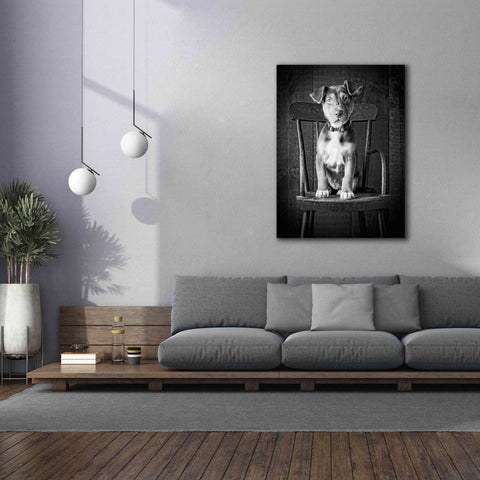 Image of 'Mutt Black & White' by Edward M. Fielding, Giclee Canvas Wall Art,40x54