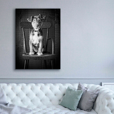 Image of 'Mutt Black & White' by Edward M. Fielding, Giclee Canvas Wall Art,40x54