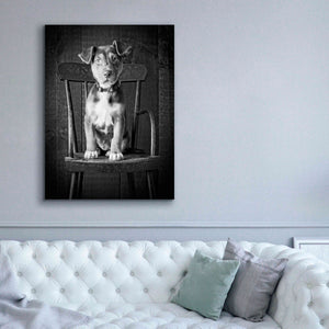 'Mutt Black & White' by Edward M. Fielding, Giclee Canvas Wall Art,40x54