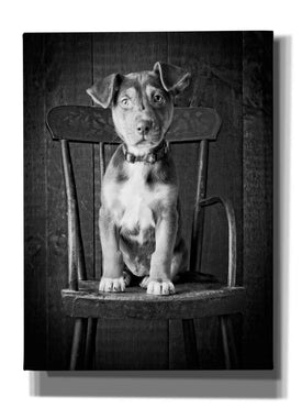 'Mutt Black & White' by Edward M. Fielding, Giclee Canvas Wall Art