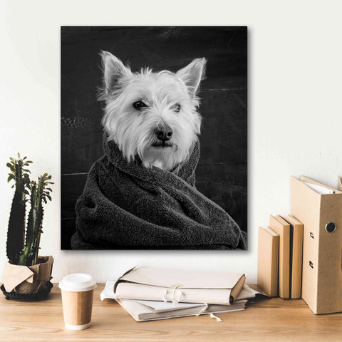 Image of 'Portrait of a Westy Dog' by Edward M. Fielding, Giclee Canvas Wall Art,20x24