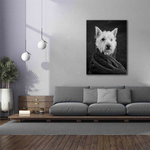Image of 'Portrait of a Westy Dog' by Edward M. Fielding, Giclee Canvas Wall Art,40x54