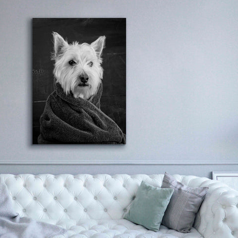 Image of 'Portrait of a Westy Dog' by Edward M. Fielding, Giclee Canvas Wall Art,40x54