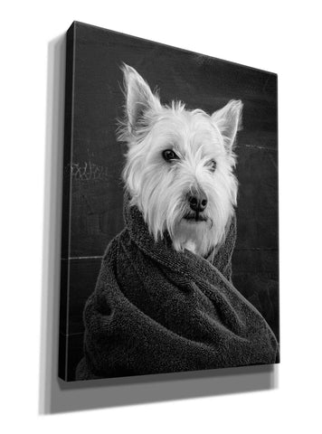 Image of 'Portrait of a Westy Dog' by Edward M. Fielding, Giclee Canvas Wall Art