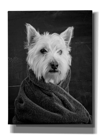 Image of 'Portrait of a Westy Dog' by Edward M. Fielding, Giclee Canvas Wall Art