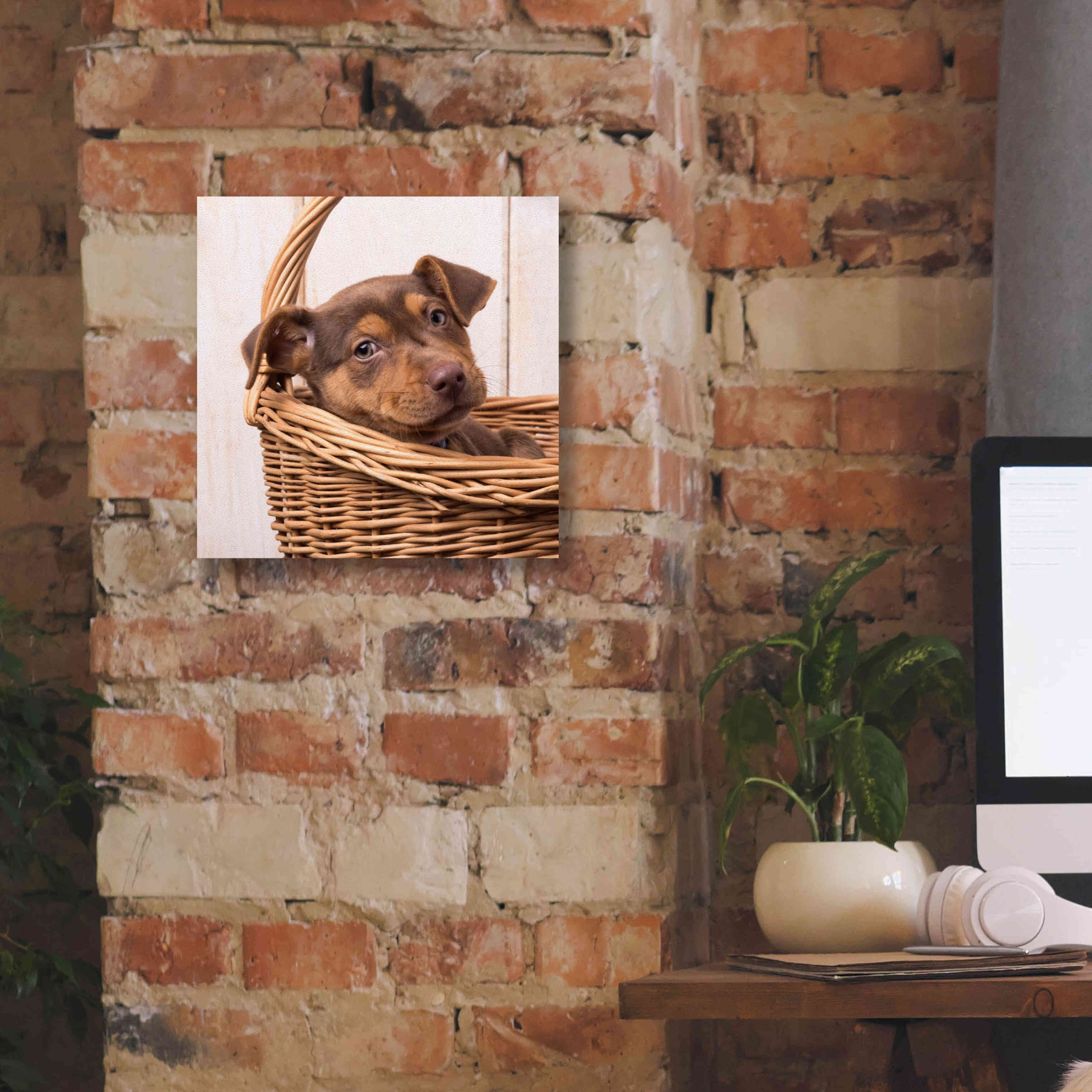 'Puppy in a Basket' by Edward M. Fielding, Giclee Canvas Wall Art,12x12