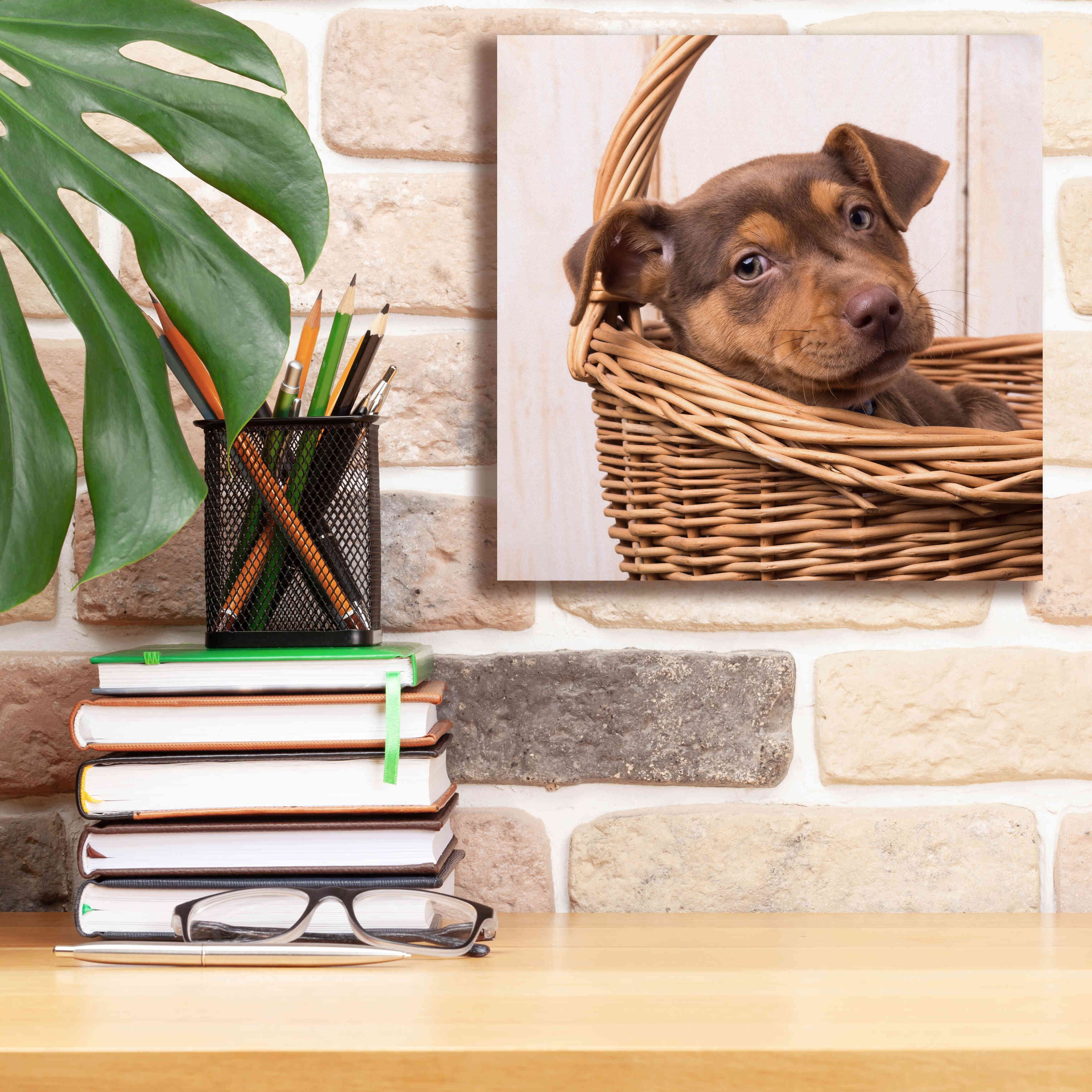 'Puppy in a Basket' by Edward M. Fielding, Giclee Canvas Wall Art,12x12