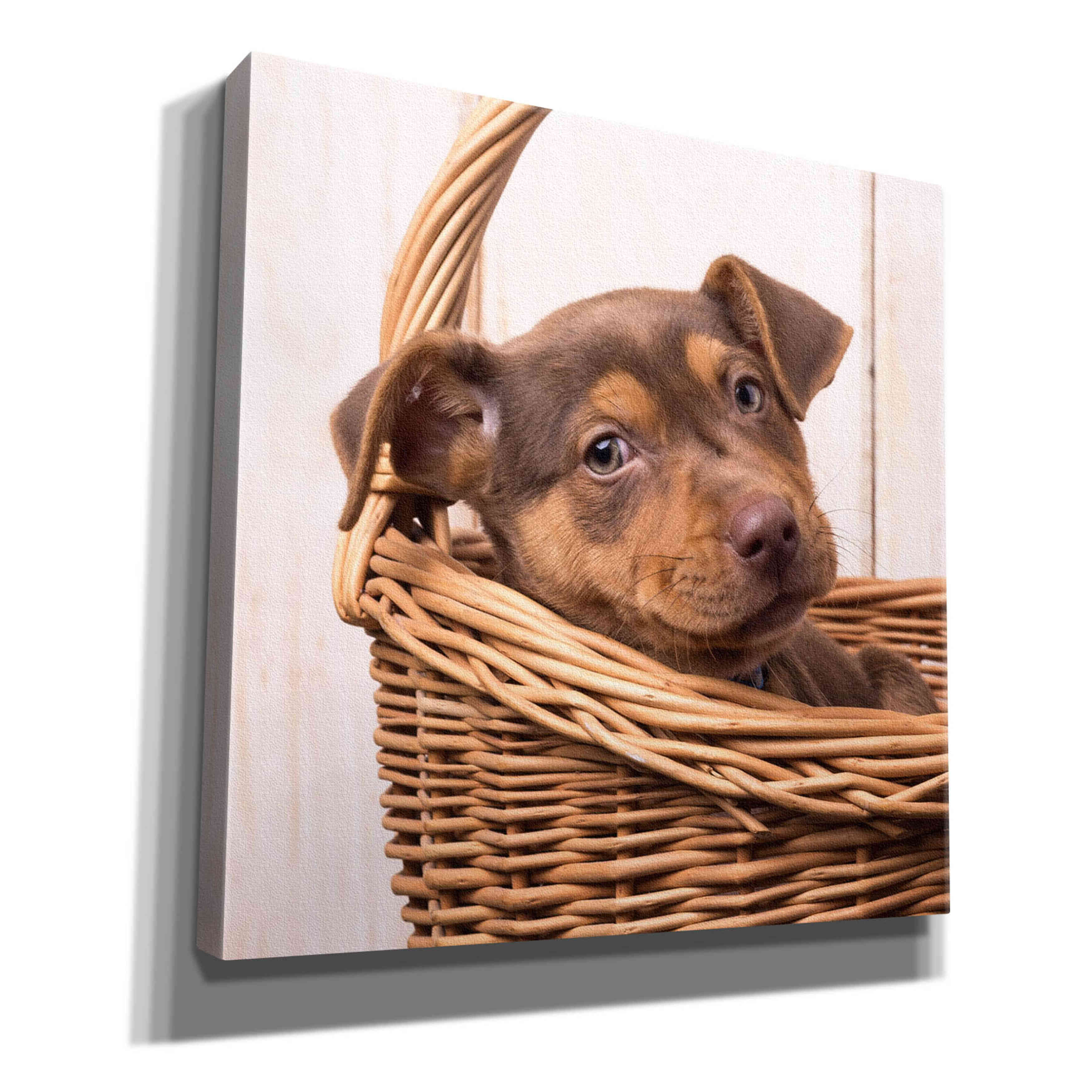 'Puppy in a Basket' by Edward M. Fielding, Giclee Canvas Wall Art