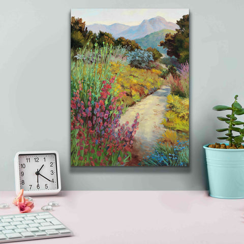 Image of 'Garden Path' by Ellie Freudenstein, Giclee Canvas Wall Art,12x16