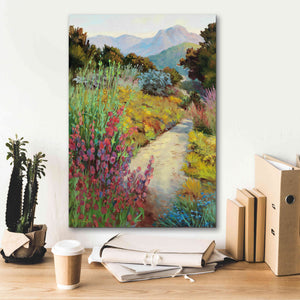 'Garden Path' by Ellie Freudenstein, Giclee Canvas Wall Art,18x26