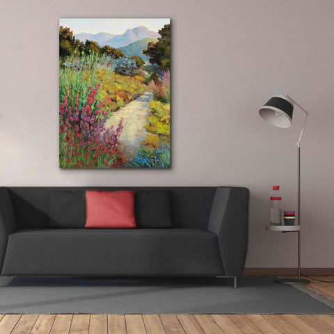 Image of 'Garden Path' by Ellie Freudenstein, Giclee Canvas Wall Art,40x54