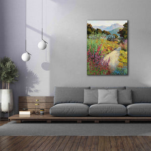 'Garden Path' by Ellie Freudenstein, Giclee Canvas Wall Art,40x54