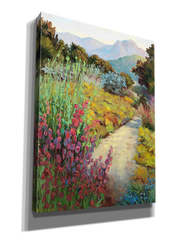 Image of 'Garden Path' by Ellie Freudenstein, Giclee Canvas Wall Art