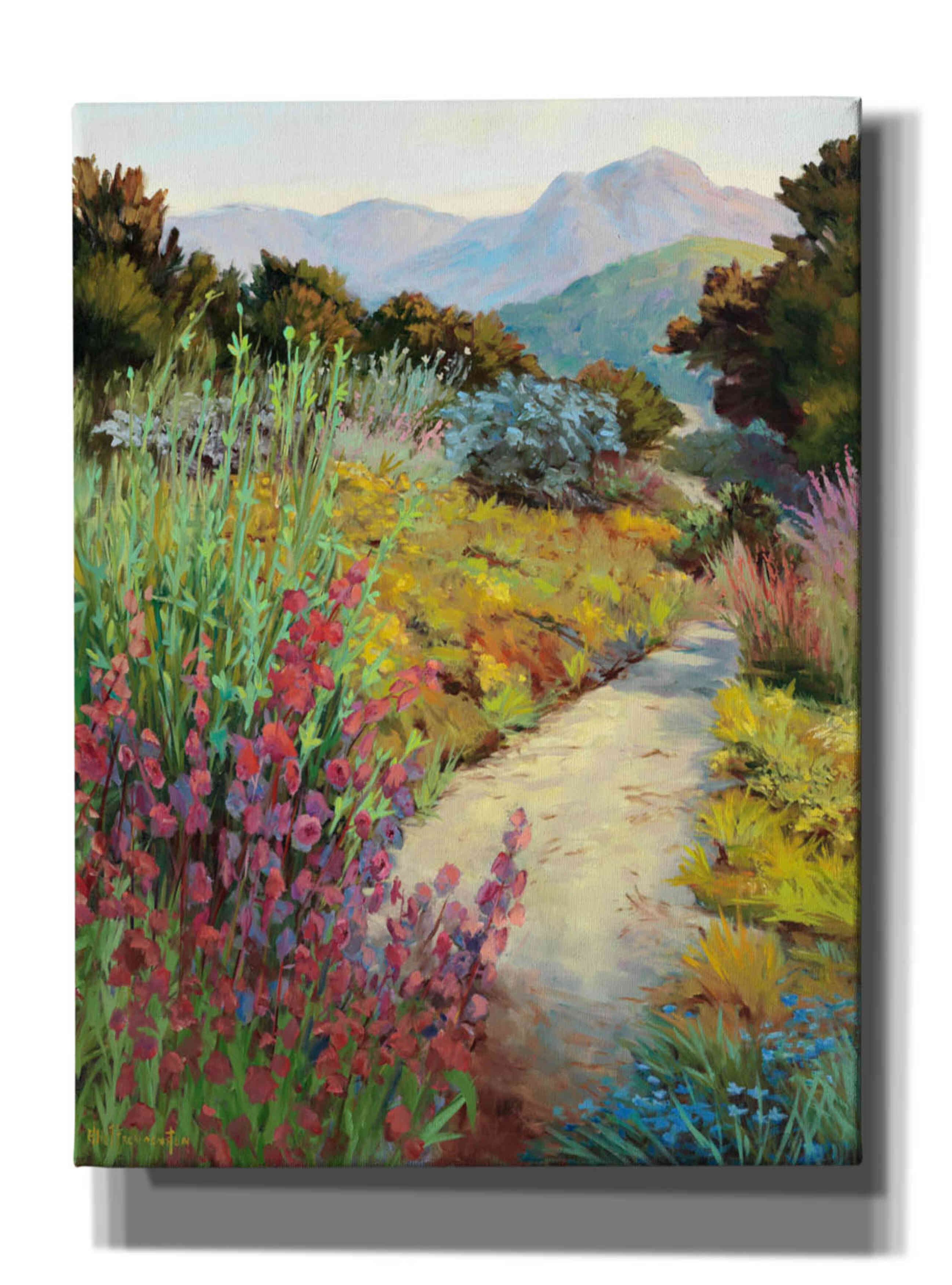 'Garden Path' by Ellie Freudenstein, Giclee Canvas Wall Art