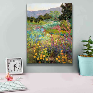 'Spring Days' by Ellie Freudenstein, Giclee Canvas Wall Art,12x16