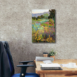 'Spring Days' by Ellie Freudenstein, Giclee Canvas Wall Art,18x26