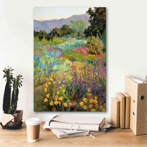 'Spring Days' by Ellie Freudenstein, Giclee Canvas Wall Art,18x26