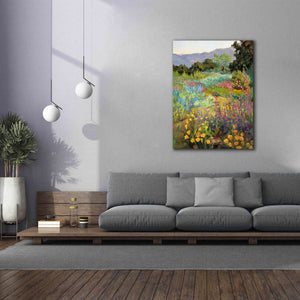 'Spring Days' by Ellie Freudenstein, Giclee Canvas Wall Art,40x54