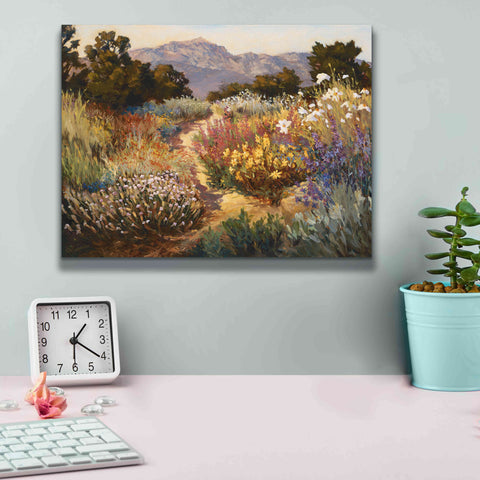 Image of 'Spring Trails' by Ellie Freudenstein, Giclee Canvas Wall Art,16x12