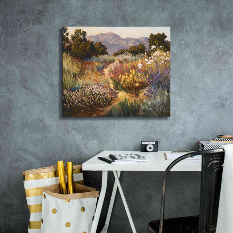 Image of 'Spring Trails' by Ellie Freudenstein, Giclee Canvas Wall Art,24x20