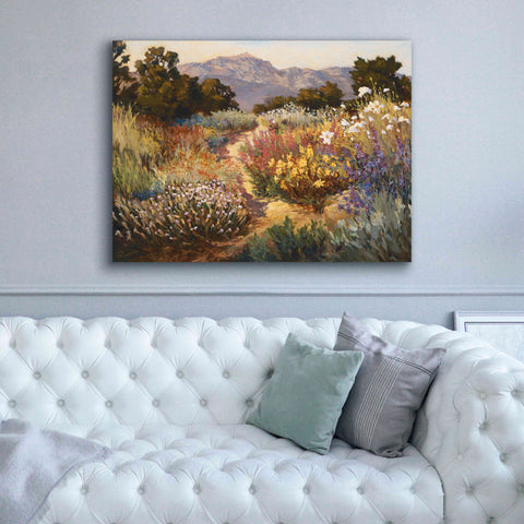 Image of 'Spring Trails' by Ellie Freudenstein, Giclee Canvas Wall Art,54x40