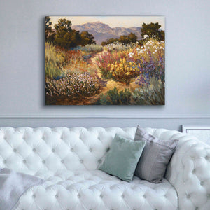 'Spring Trails' by Ellie Freudenstein, Giclee Canvas Wall Art,54x40