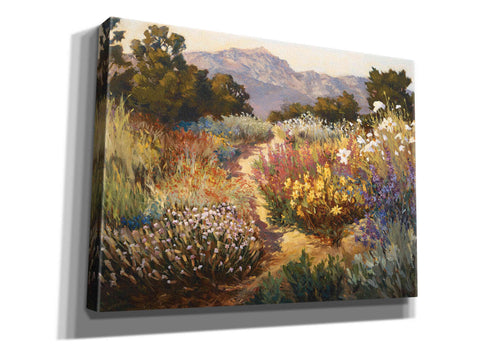 Image of 'Spring Trails' by Ellie Freudenstein, Giclee Canvas Wall Art