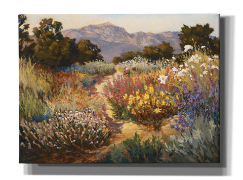 Image of 'Spring Trails' by Ellie Freudenstein, Giclee Canvas Wall Art