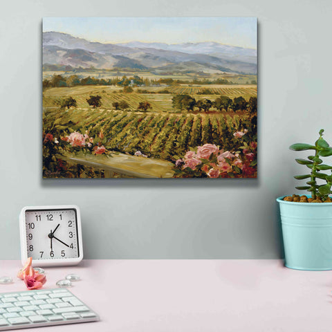 Image of 'Vineyards to Vaca Mountains' by Ellie Freudenstein, Giclee Canvas Wall Art,16x12