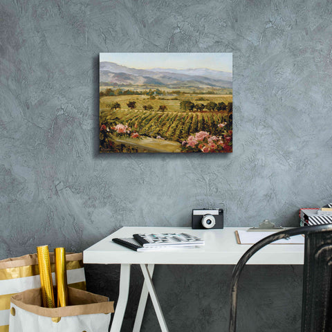 Image of 'Vineyards to Vaca Mountains' by Ellie Freudenstein, Giclee Canvas Wall Art,16x12