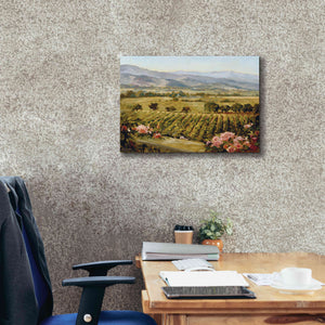 'Vineyards to Vaca Mountains' by Ellie Freudenstein, Giclee Canvas Wall Art,24x20