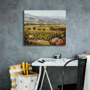 'Vineyards to Vaca Mountains' by Ellie Freudenstein, Giclee Canvas Wall Art,24x20