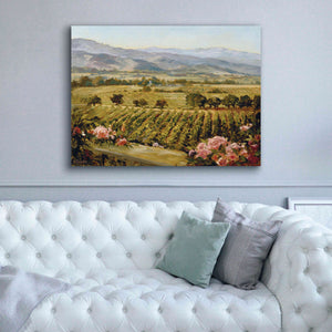 'Vineyards to Vaca Mountains' by Ellie Freudenstein, Giclee Canvas Wall Art,54x40