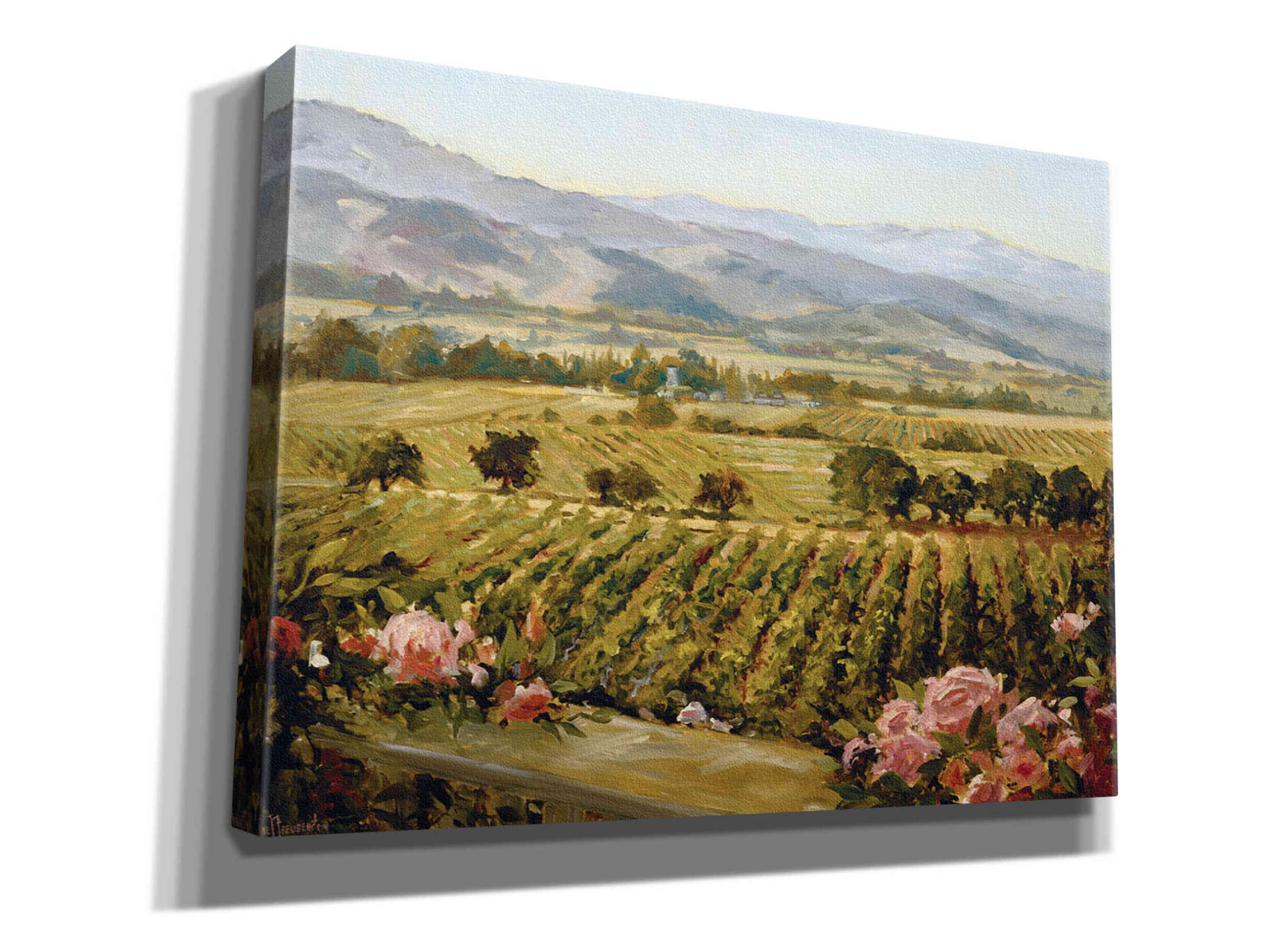 'Vineyards to Vaca Mountains' by Ellie Freudenstein, Giclee Canvas Wall Art