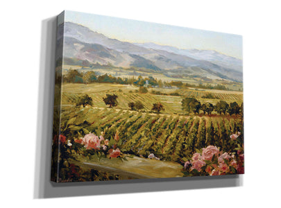 'Vineyards to Vaca Mountains' by Ellie Freudenstein, Giclee Canvas Wall Art