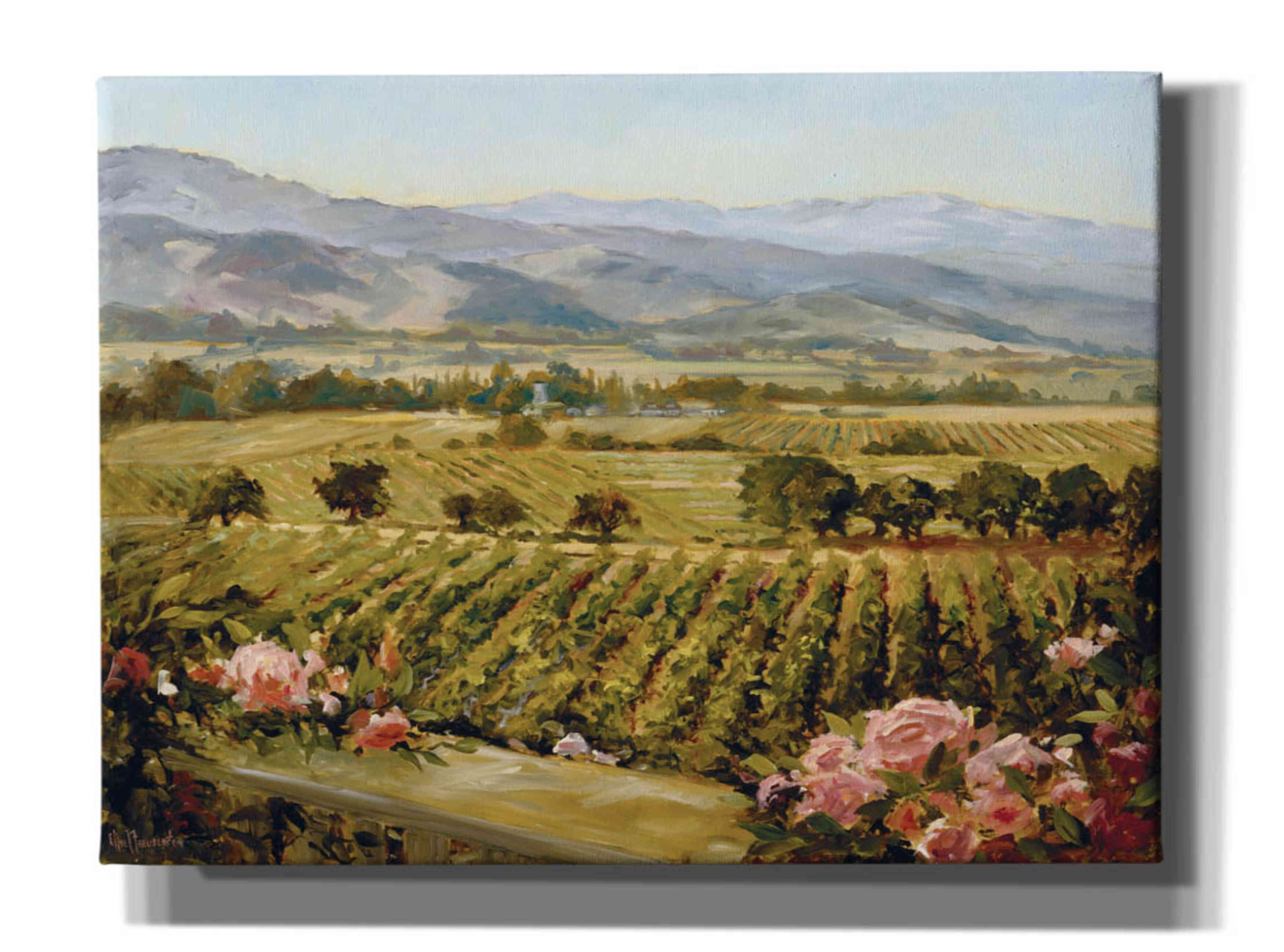 'Vineyards to Vaca Mountains' by Ellie Freudenstein, Giclee Canvas Wall Art