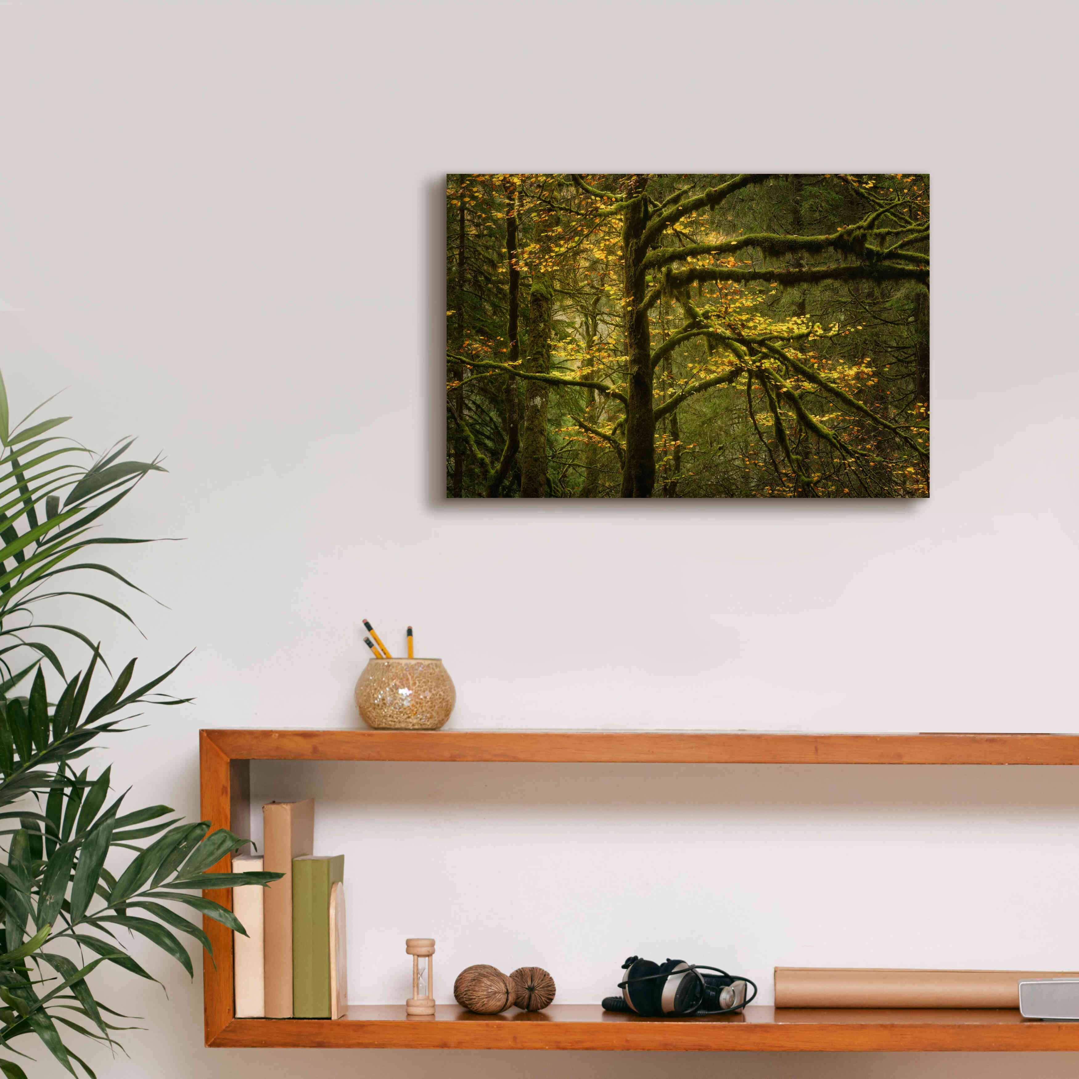 'Golden Drops' by Enrico Fossati, Giclee Canvas Wall Art,18x12