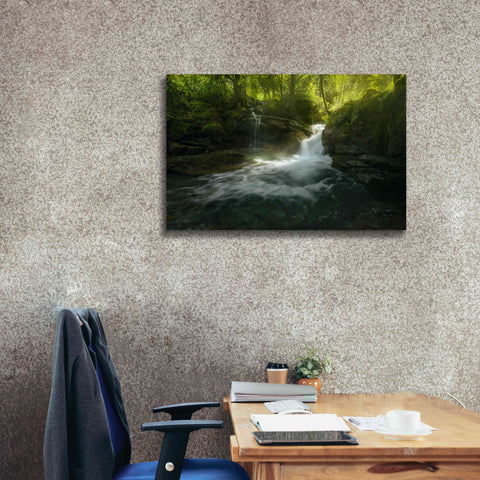 Image of 'Stream of Life' by Enrico Fossati, Giclee Canvas Wall Art,40x26