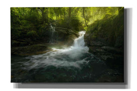 'Stream of Life' by Enrico Fossati, Giclee Canvas Wall Art