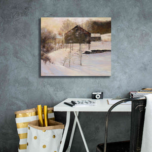 'Winter Peace' by Esther Engelman, Giclee Canvas Wall Art,24x20