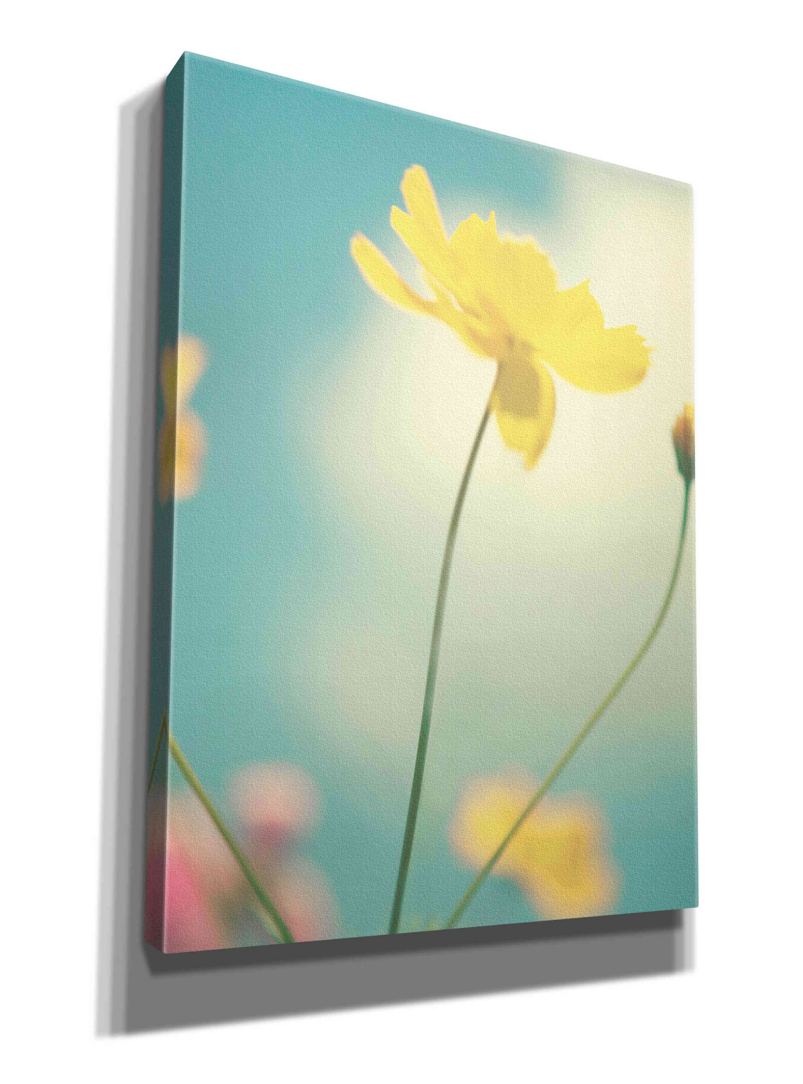 'Summer Breeze' by Kim Fearheiley, Giclee Canvas Wall Art