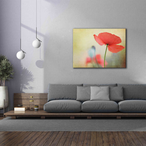 Image of 'Poppy' by Kim Fearheiley, Giclee Canvas Wall Art,54x40