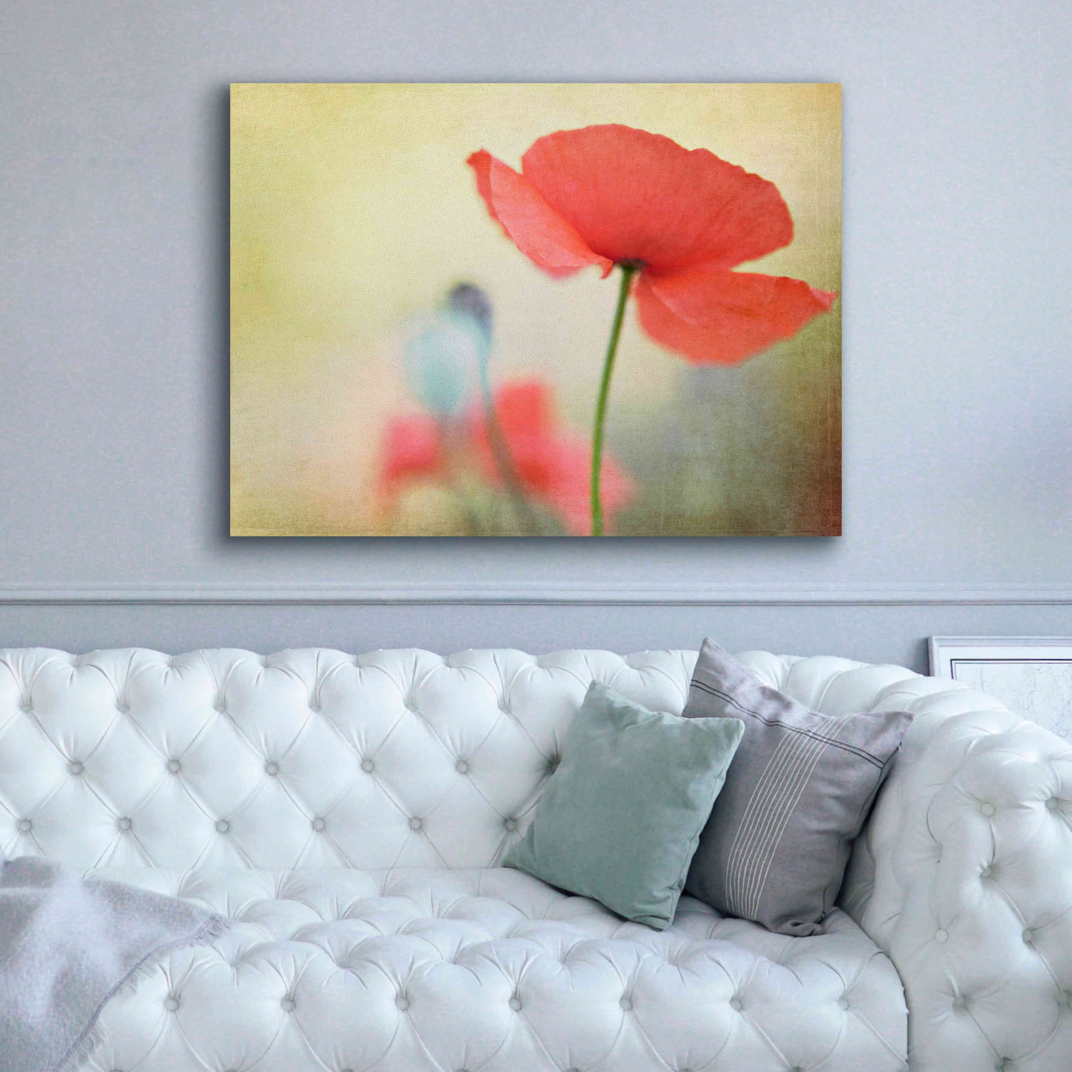 'Poppy' by Kim Fearheiley, Giclee Canvas Wall Art,54x40