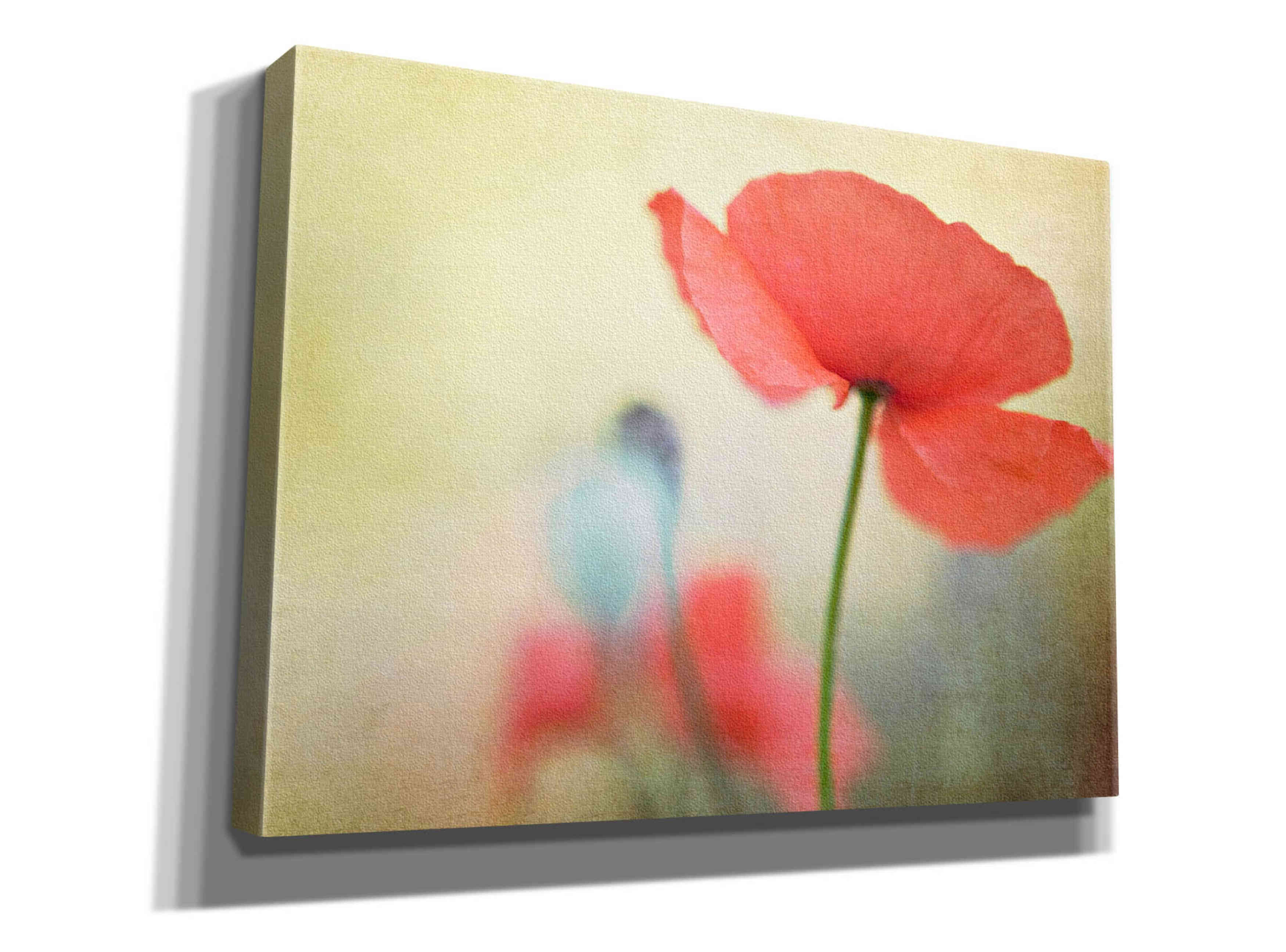 'Poppy' by Kim Fearheiley, Giclee Canvas Wall Art