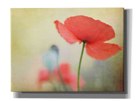 'Poppy' by Kim Fearheiley, Giclee Canvas Wall Art