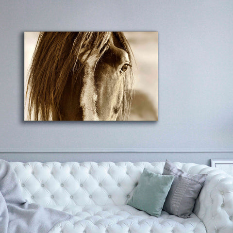 Image of 'Amante' by Lisa Dearing, Giclee Canvas Wall Art,60x40
