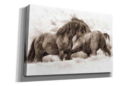 'Brothers' by Lisa Dearing, Giclee Canvas Wall Art